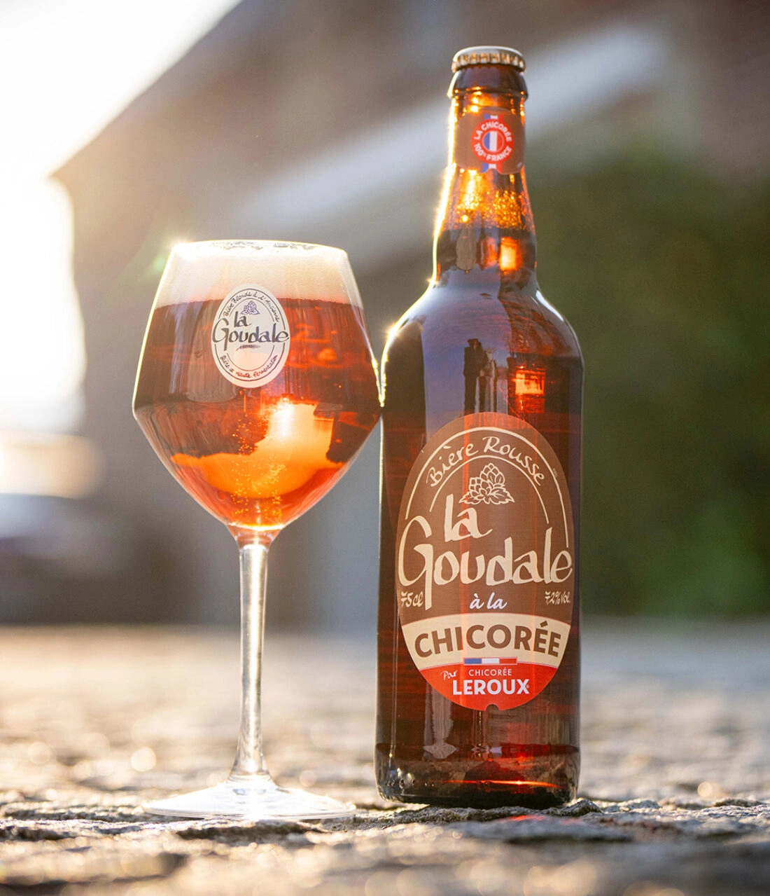 Goudale Chicorée